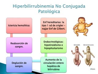 Ictericia hemolitica:
Reabsorción de
sangre.
Deglución de
sangre.
Aumento de la
circulación entero
hepática de
bilirrubina
Endocrinológicas:
hipotiroidismo e
hipopituitarismo
Enf hereditarias: la
tipo 1 sd de crigler -
najjar Enf de Gilbert.
 