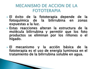  El éxito de la fototerapia depende de la
fotoquímica de la bilirrubina en zonas
expuestas a la luz.
 Estas reacciones alteran la estructura de la
molécula bilirrubina y permitir que los foto
productos se eliminan por los riñones o el
hígado.
 El mecanismo y la acción básica de la
fototerapia es el uso de energía luminosa en el
tratamiento de la bilirrubina soluble en agua.
 