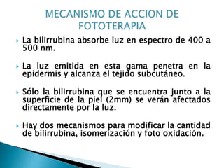  La bilirrubina absorbe luz en espectro de 400 a
500 nm.
 La luz emitida en esta gama penetra en la
epidermis y alcanza el tejido subcutáneo.
 Sólo la bilirrubina que se encuentra junto a la
superficie de la piel (2mm) se verán afectados
directamente por la luz.
 Hay dos mecanismos para modificar la cantidad
de bilirrubina, isomerización y foto oxidación.
 