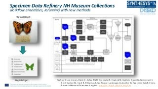 Specimen Data Refinery NH Museum Collections
workflow ensembles, rerunning with new methods
Physical Object
Digital Object Walton S, Livermore L, Bánki O, Cubey RWN, Drinkwater R, Englund M, Goble C, Groom Q, Kermorvant C,
Rey I, Santos CM, Scott B, Williams AR, Wu Z (2020) Landscape Analysis for the Specimen Data Refinery.
Research Ideas and Outcomes 6: e57602. https://doi.org/10.3897/rio.6.e57602
 
