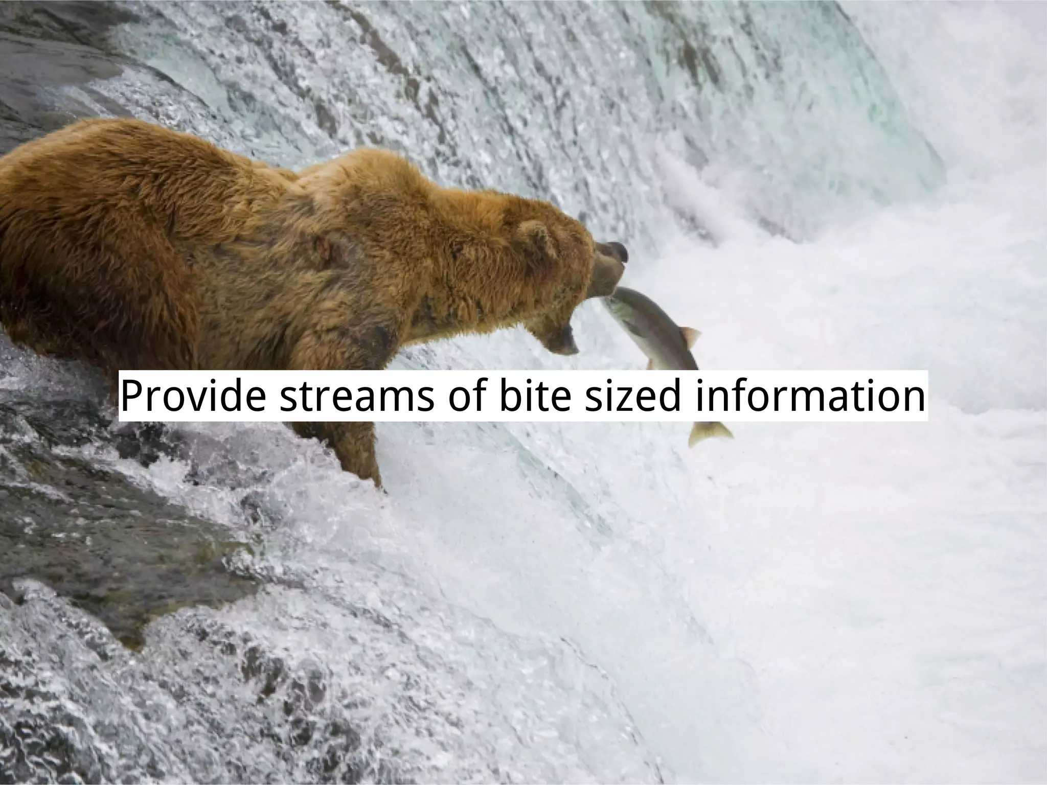 Provide streams of bite sized information
 