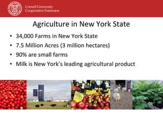 Agriculture in New York State 34,000 Farms in New York State 7.5 Million Acres (3 million hectares)  90% are small farms  Milk is New York’s leading agricultural product 