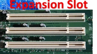 Expansion Slot
 