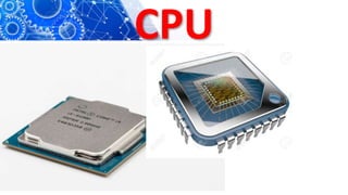 CPU
 