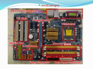  mrs.Kl uõmqjrej
 