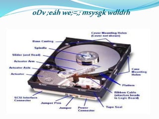 oDv;eáhwe;=,;msysgkwdldrh
 