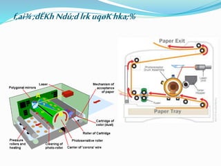 f,ai¾;dËKhNdú;dlrkuqøKhka;%
 