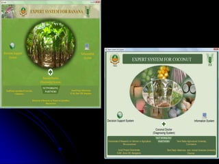Ict in agriculture | PPTX