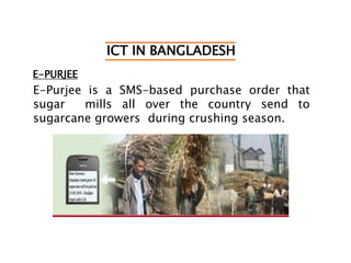 ICT IN BANGLADESH
E-PURJEE
E-Purjee is a SMS-based purchase order that
sugar mills all over the country send to
sugarcane growers during crushing season.
 