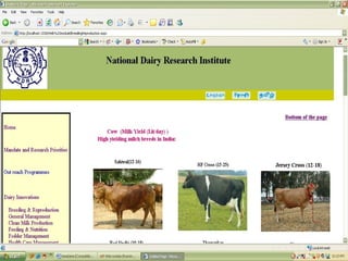 ICT in Dairy Knowledge Management - ICT in Dairying | PPT