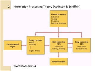 2. Information Processing Theory (Atkinson & Schiffrin)
www2.hawaii.edu/.../i
 