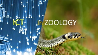 ICT ZOOLOGY
In
 