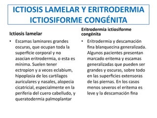 ICTIOSIS LAMELAR Y ERITRODERMIA
ICTIOSIFORME CONGÉNITA
Ictiosis lamelar
• Escamas laminares grandes
oscuras, que ocupan toda la
superﬁcie corporal y no
asocian eritrodermia, o esta es
mínima. Suelen tener
ectropion y a veces eclabium,
hipoplasia de los cartílagos
auriculares y nasales, alopecia
cicatricial, especialmente en la
periferia del cuero cabelludo, y
queratodermia palmoplantar
Eritrodermia ictiosiforme
congénita
• Eritrodermia y descamación
ﬁna blanquecina generalizada.
Algunos pacientes presentan
marcado eritema y escamas
generalizadas que pueden ser
grandes y oscuras, sobre todo
en las superﬁcies extensoras
de las piernas. En los casos
menos severos el eritema es
leve y la descamación ﬁna
 
