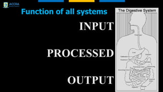 Function of all systems
INPUT
PROCESSED
OUTPUT
 