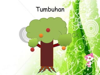 Struktur pada tumbuhan | PPT