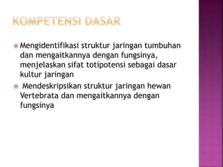 Mengidentifikasi struktur jaringan tumbuhan
dan mengaitkannya dengan fungsinya,
menjelaskan sifat totipotensi sebagai dasar
kultur jaringan
 Mendeskripsikan struktur jaringan hewan
Vertebrata dan mengaitkannya dengan
fungsinya
 