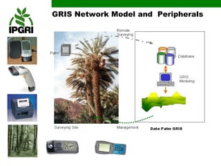 GRIS Network Model and Peripherals
 