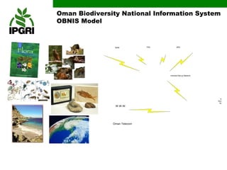 Oman Biodiversity National Information System
OBNIS Model



                NHM           FRC          ARC                    SQU




                                    Intranet Dial-up Network




                                                                  Bio
                                                               Diversity
                                                                Dept.
                W.W.W.




               Oman Telecom
 