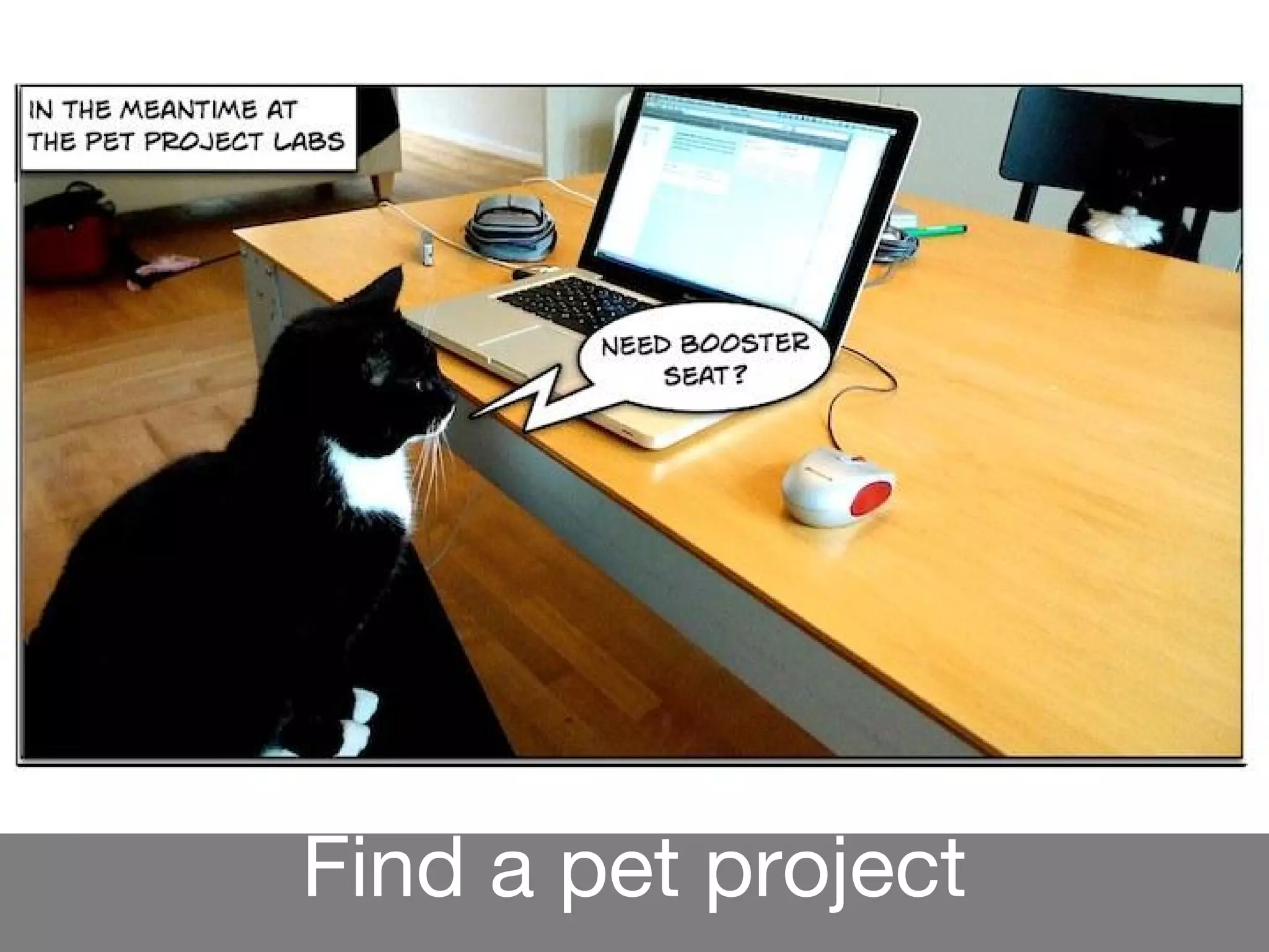 Find a pet project
 