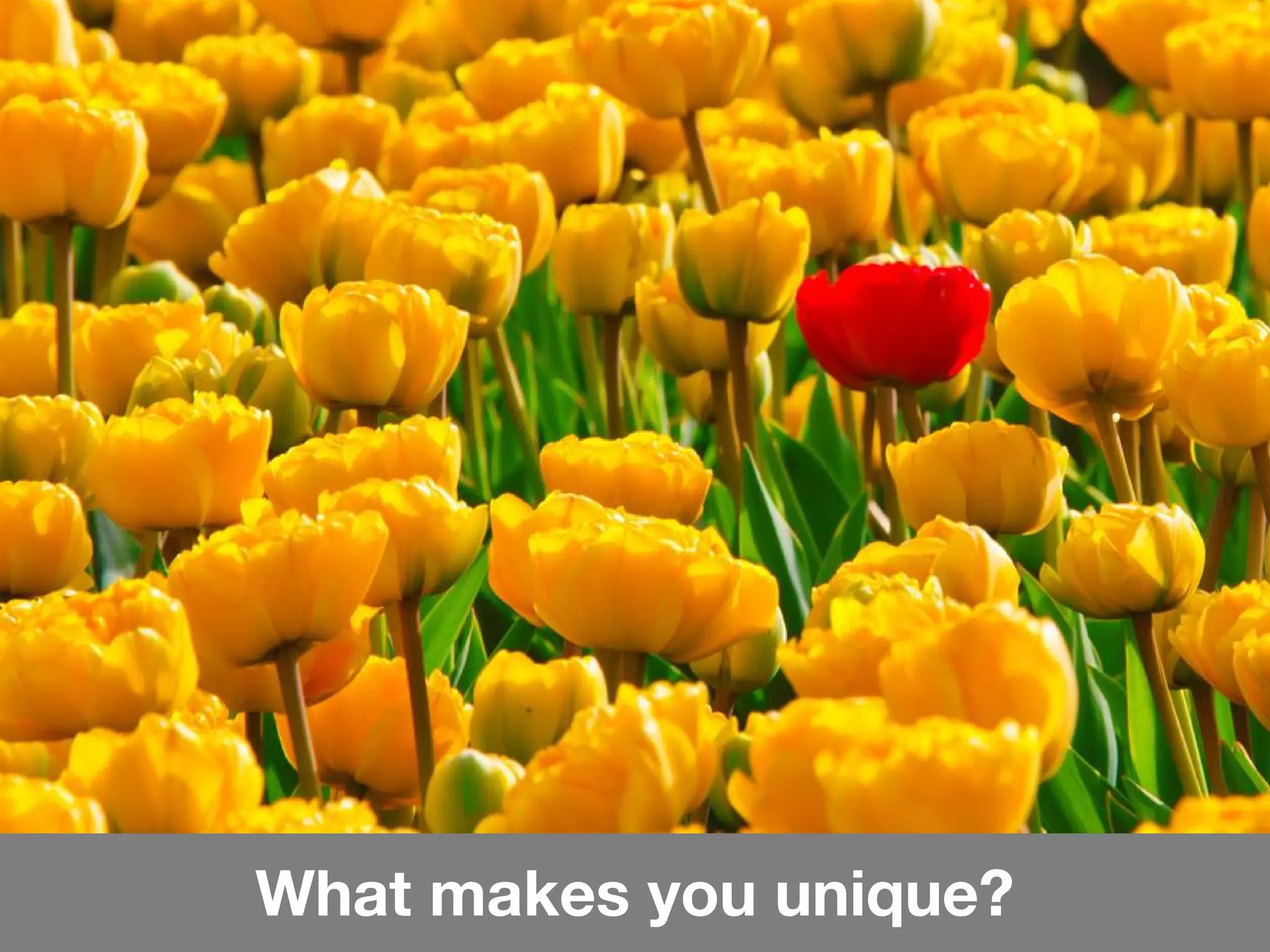 What makes you unique?
 