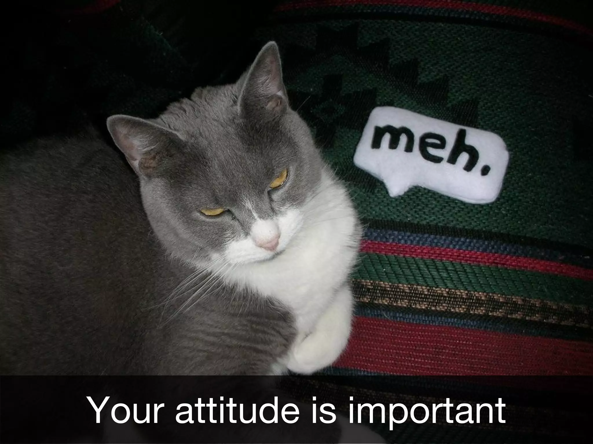 Your attitude is important
 