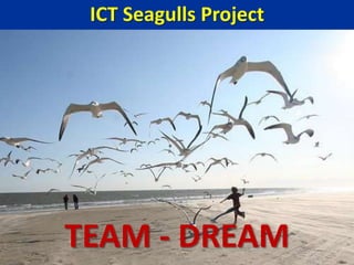 ICT Seagulls Project TEAM - DREAM 