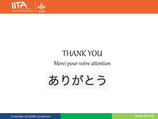 www.iita.orgA member of CGIAR consortium
THANK YOU
Merci pour votre attention
 