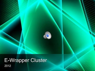 E-Wrapper Cluster
2012
 
