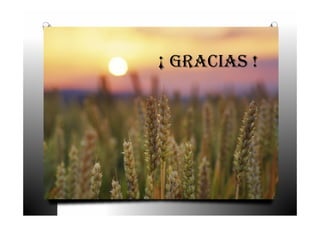 ¡ GRACIAS !
 