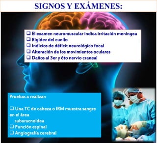 SIGNOS Y EXÁMENES:
 El examen neuromuscular indica irritación meníngea
 Rigidez del cuello
 Indicios de déficit neurológico focal
 Alteración de los movimientos oculares
 Daños al 3er y 6to nervio craneal
Pruebas a realizar:
 Una TC de cabeza o IRM muestra sangre
en el área
subaracnoidea
 Punción espinal
 Angiografía cerebral
 