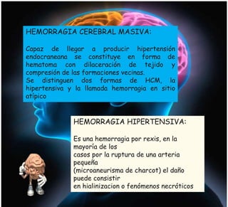 HEMORRAGIA CEREBRAL MASIVA:
Capaz de llegar a producir hipertensión
endocraneana se constituye en forma de
hematoma con dilaceración de tejido y
compresión de las formaciones vecinas.
Se distinguen dos formas de HCM, la
hipertensiva y la llamada hemorragia en sitio
atípico
HEMORRAGIA HIPERTENSIVA:
Es una hemorragia por rexis, en la
mayoría de los
casos por la ruptura de una arteria
pequeña
(microaneurisma de charcot) el daño
puede consistir
en hialinizacion o fenómenos necróticos
 