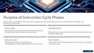 Purpose of Instruction Cycle Phases
Each cycle is essential for the processor's operation, ensuring instructions are understood, executed, and
results are preserved.
Fetch Cycle
Retrieves the instruction from memory, informing
the processor what needs to be executed.
Decode Cycle
Interprets the instruction to determine the operation and
required operands.
Execute Cycle
Performs the actual computation or
manipulation of data specified by the instruction.
Store Cycle
Saves the result of the operation in memory or a register
for future use.
 