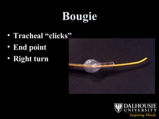 Bougie Tracheal “clicks” End point Right turn 