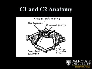 C1 and C2 Anatomy 