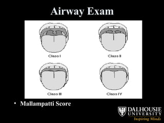 Airway Exam Mallampatti Score 