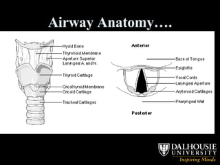 Airway Anatomy…. 