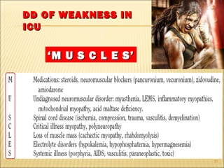 DDDD OOFF WWEEAAKKNNEESSSS IINN 
IICCUU 
21 
‘‘MM UU SS CC LL EE SS’’ 
 