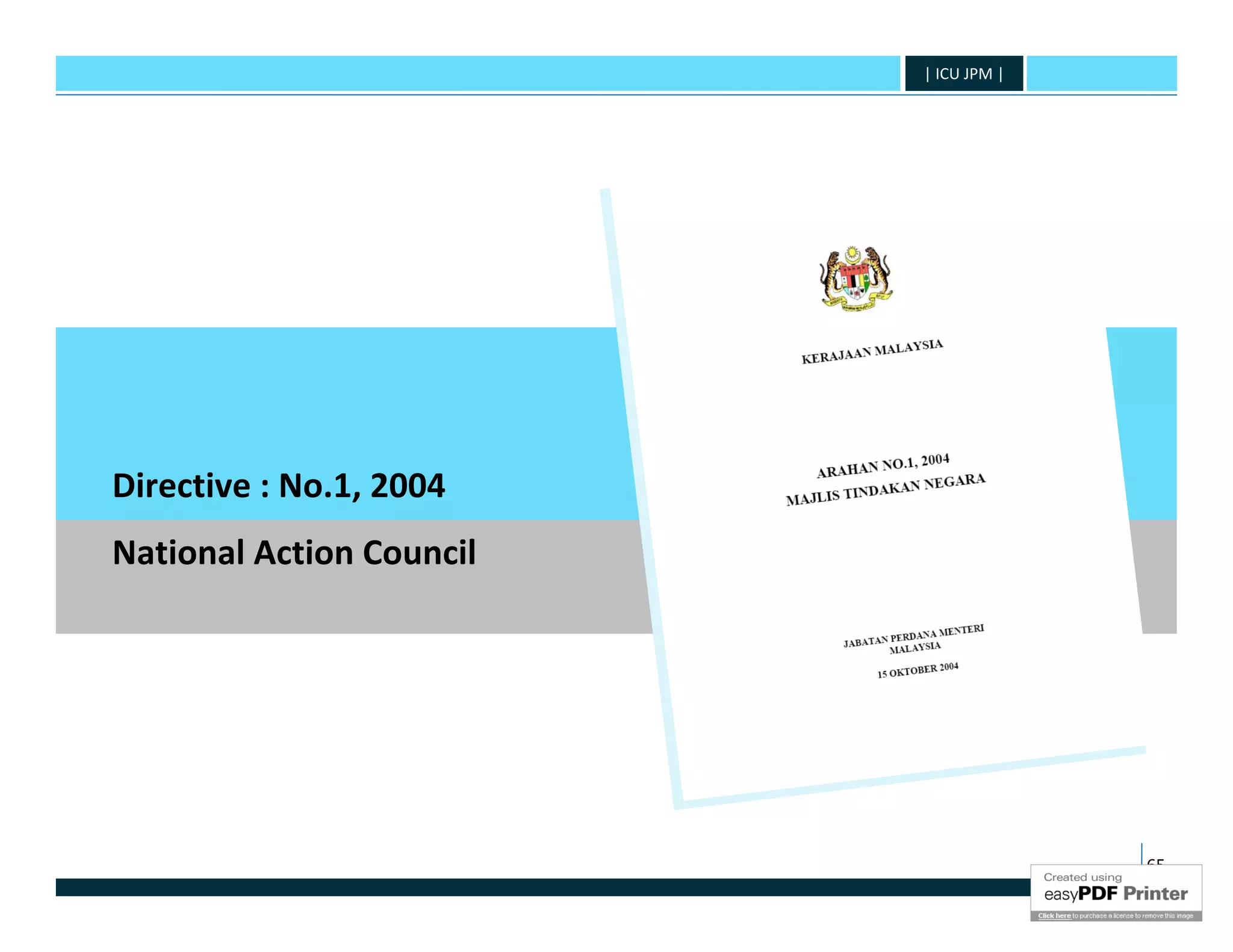 | ICU JPM |




Directive : No.1, 2004
National Action Council




                                        65
 