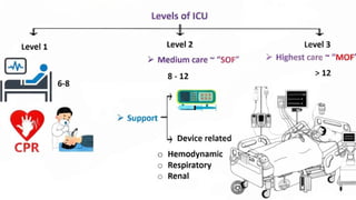 ICU settings and requirements (1) .pptx