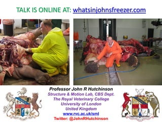 TALK IS ONLINE AT: whatsinjohnsfreezer.com
Professor John R Hutchinson
Structure & Motion Lab, CBS Dept.
The Royal Veterin...