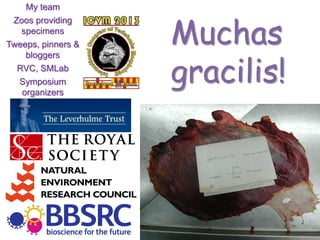 My team
Zoos providing
specimens
Tweeps, pinners &
bloggers
RVC, SMLab
Symposium
organizers
Muchas
gracilis!
 