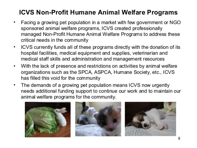 Icvs non profit-animal_welfare_programs_2013