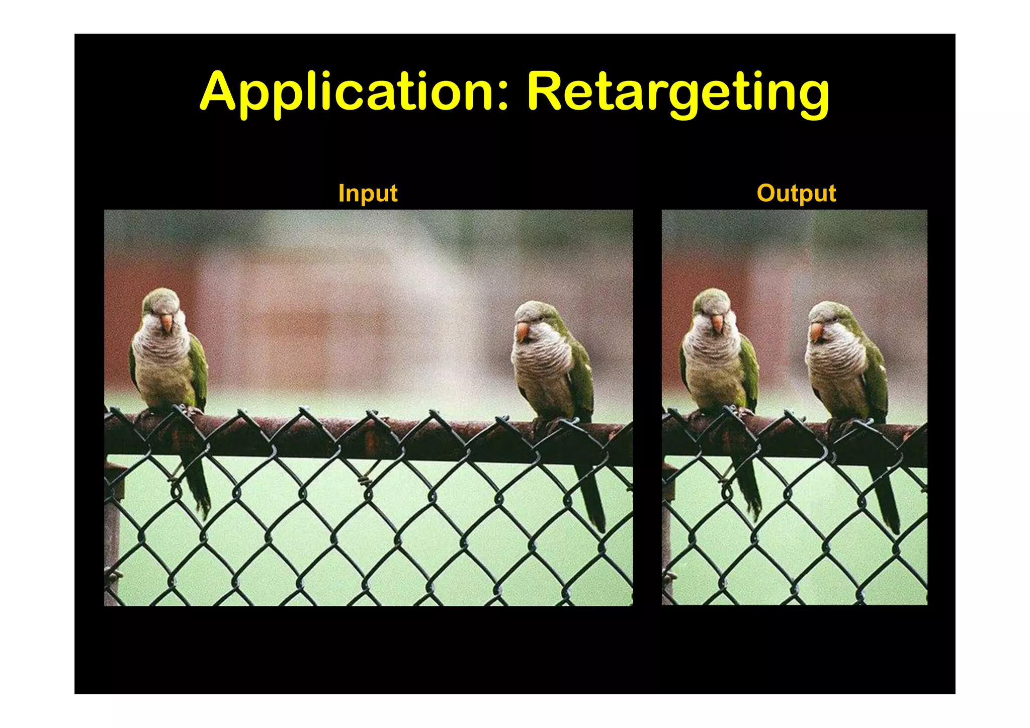 Application: Retargeting
     Input           Output
 