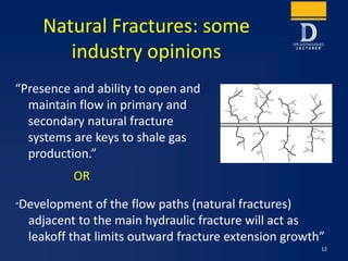 The Role of Natural Fractures in Shale Gas Production: What does ...