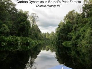Carbon Dynamics in Bruneiʼs Peat Forests
           Charles Harvey, MIT
 