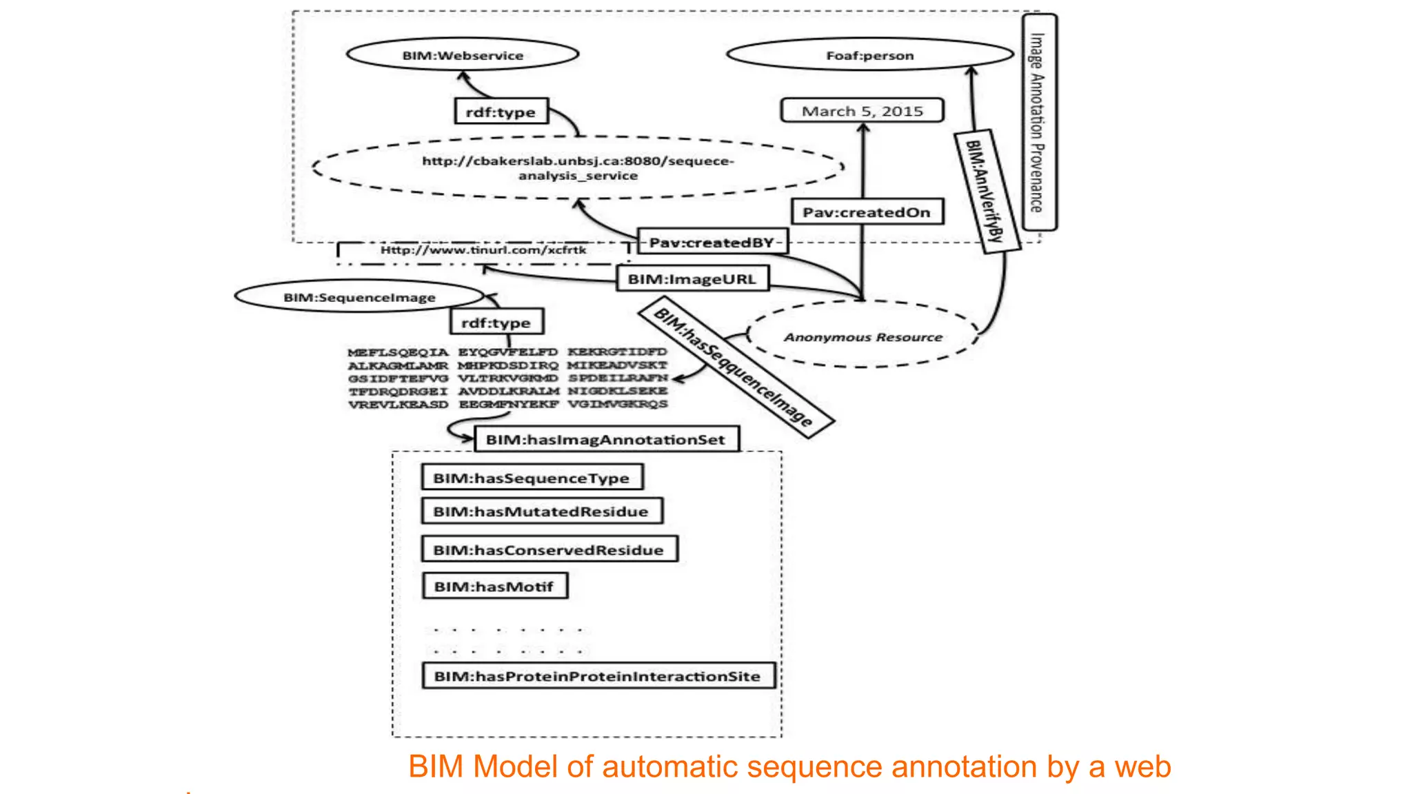 BIM Model of automatic sequence annotation by a web
 