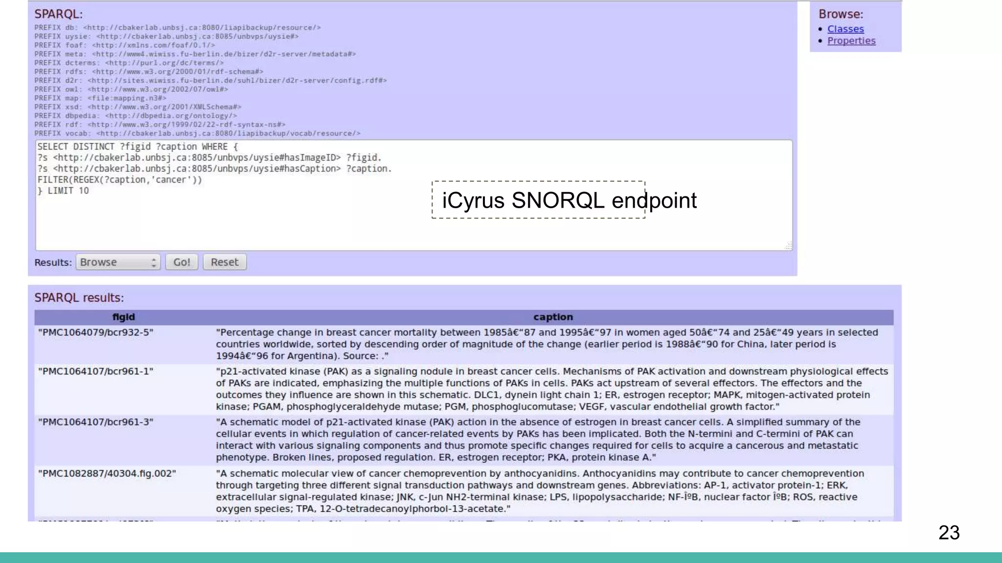 23
iCyrus SNORQL endpoint
 