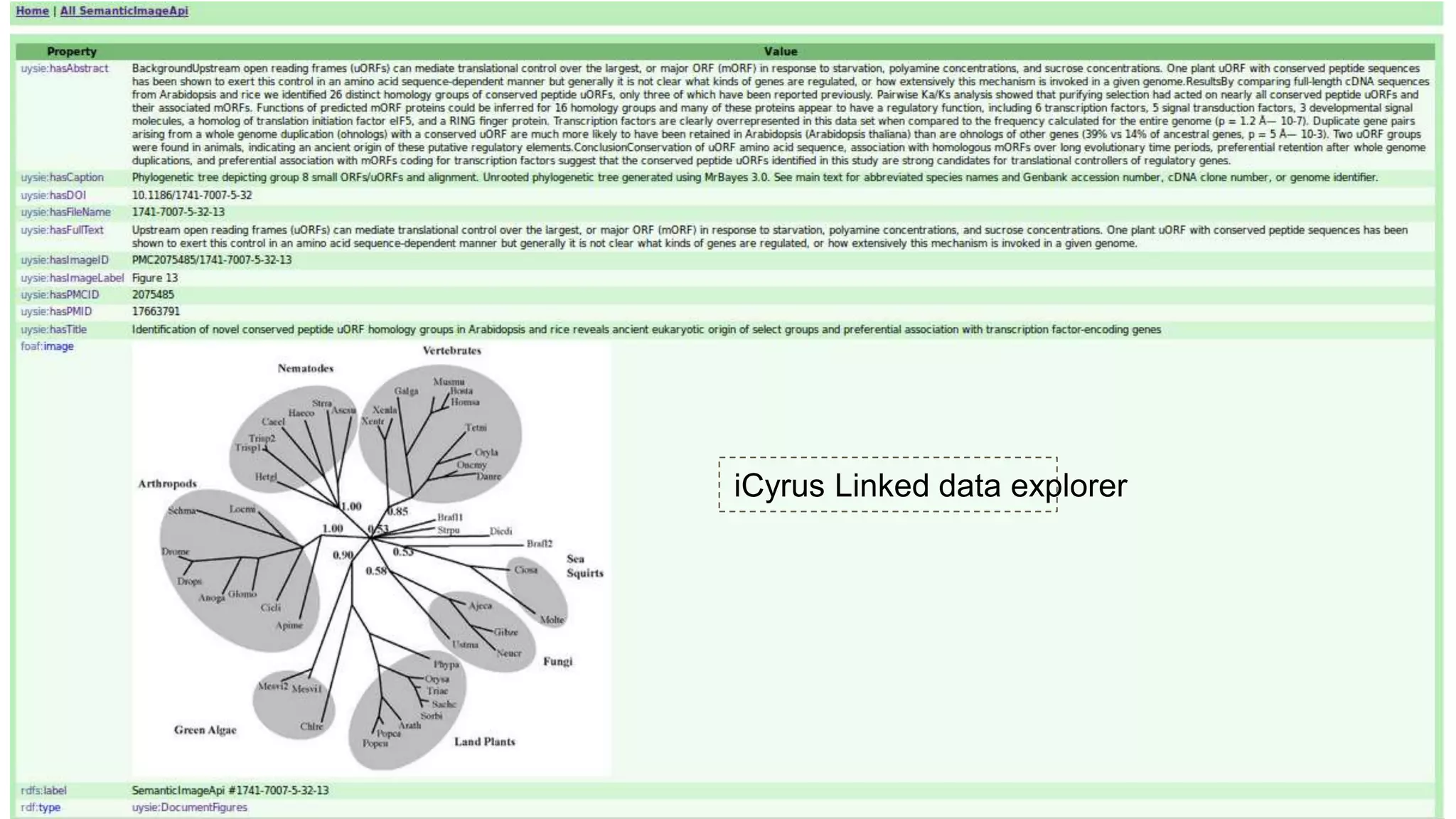 24
iCyrus Linked data explorer
 