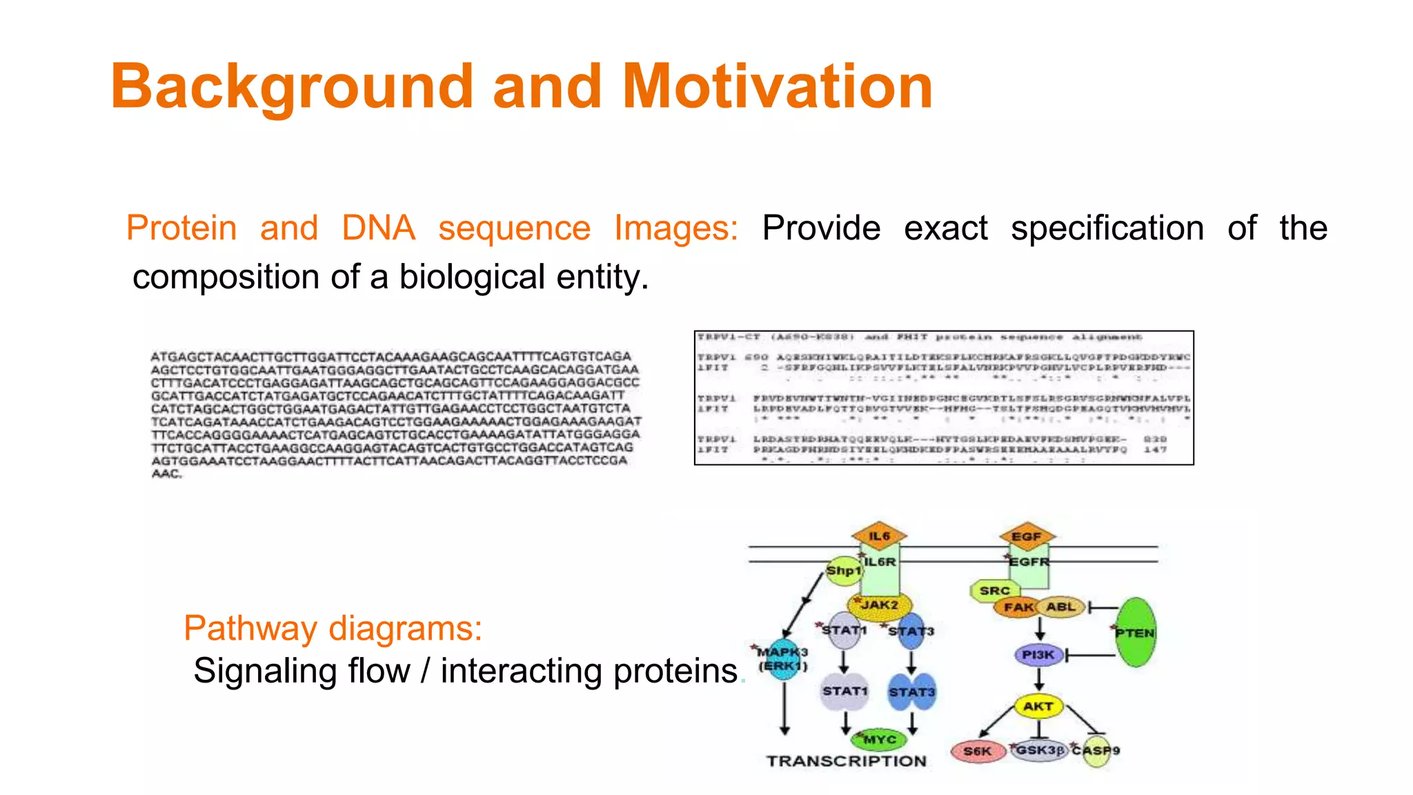 Background and Motivation
Protein and DNA sequence Images: Provide exact specification of the
composition of a biological entity.
Pathway diagrams:
Signaling flow / interacting proteins.
 