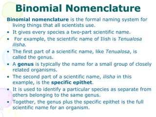 Iczn(The International Commission on Zoological Nomenclature ) | PPTX